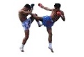 Muay Thai Shop.ch - Online Shop f&uuml;r Thaiboxer