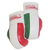 FIGHT-FIT - Mini Boxhandschuhe / Italien