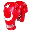 FIGHT-FIT - Mini Boxhandschuhe / Türkei