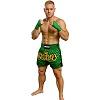FIGHTERS - Muay Thai Shorts / Grün / XL
