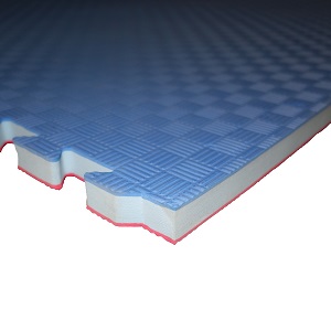 Tapis de sol en mouse / 100 x 100 x 2.5 cm / Tatami réversible puzzle / Noir-Bleu
