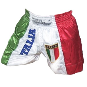 FIGHTERS - Muay Thai Shorts / Italy / Stemma / Large